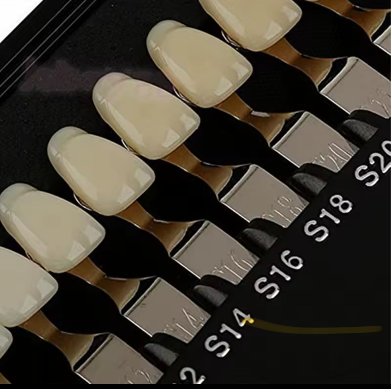 Professional Teeth Whitening Shade Guide with Mirror