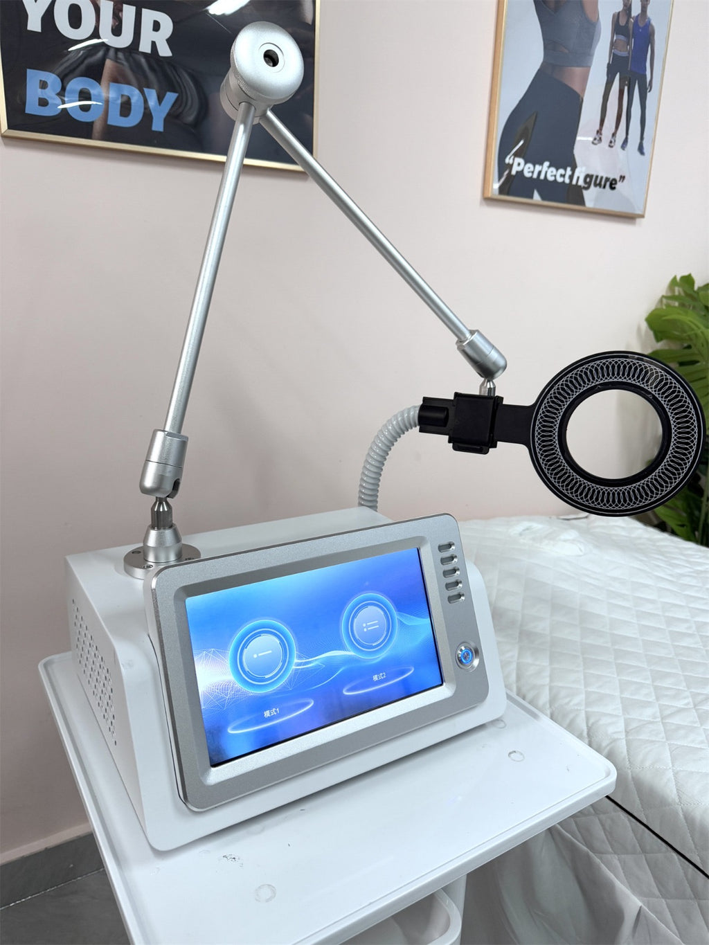 EMS Magnetic Body Machine