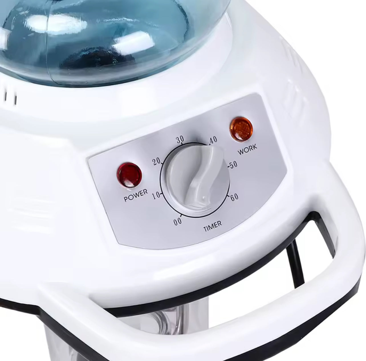 Professional Hooded facial and hair steamer